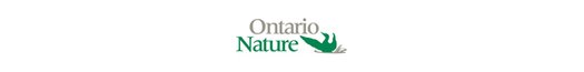 image of Help at-risk caribou persist in the Caribou Forest
