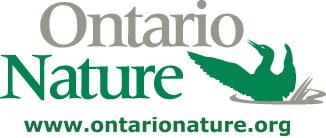 image of American paper product companies must be more responsible with their use of Ontario’s forests