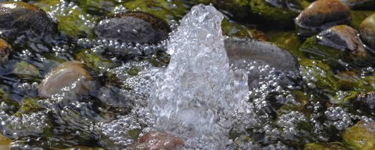 image of Polluters Should Pay to Clean Up Their Contamination in Michigan