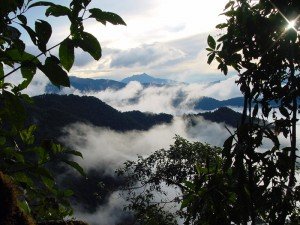 image of Chip in to help the locals protect Los Cedros in Ecuador