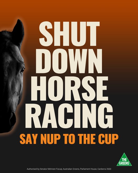 image of Get Schweppes out of the Melbourne Cup