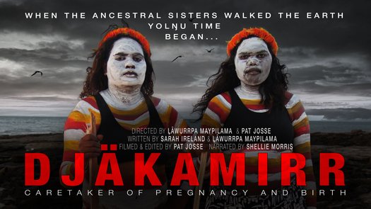 image of Support djäkamirr: fund the delivery of cultural care & Birthing on Country for First Nations Australians