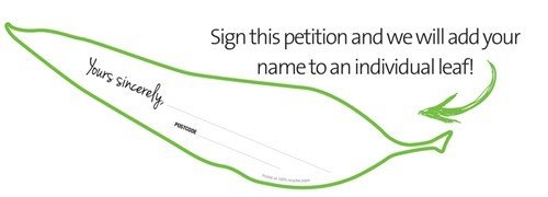 image of Let's end deforestation in NSW