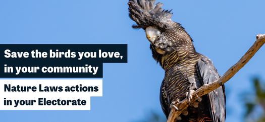 image of Nature Laws Local Actions