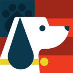 Beagle Freedom Project