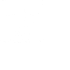 Butterfly Conservation
