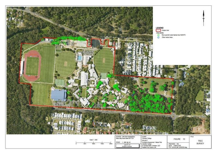 Ormiston College koala trees marked for removal