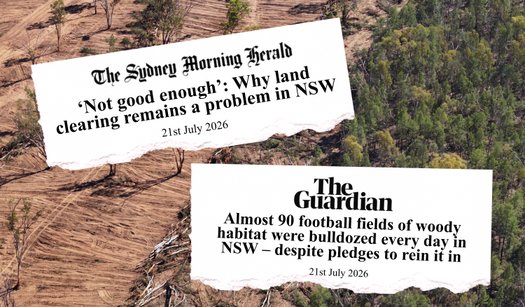 image of Fix land clearing laws now