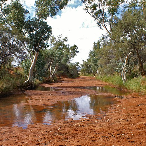 image of Desert rains should bring life, not pollution