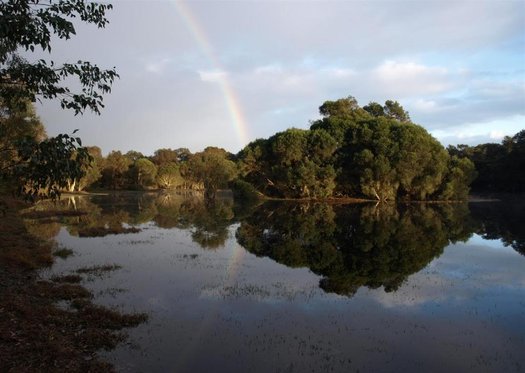 image of Malcolm, don't destroy our wetlands!